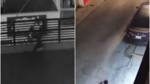 Eve giren hırsıza köpek şoku: Kaçmak için çatıdan atladı, emekleyerek kaçtı