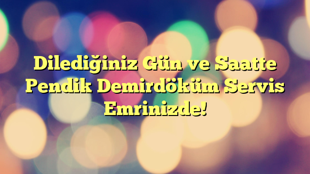Dilediğiniz Gün ve Saatte Pendik Demirdöküm Servis Emrinizde!