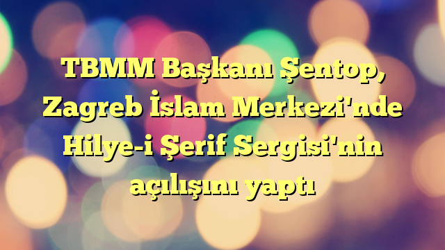 TBMM Başkanı Şentop, Zagreb İslam Merkezi'nde Hilye-i Şerif Sergisi'nin açılışını yaptı